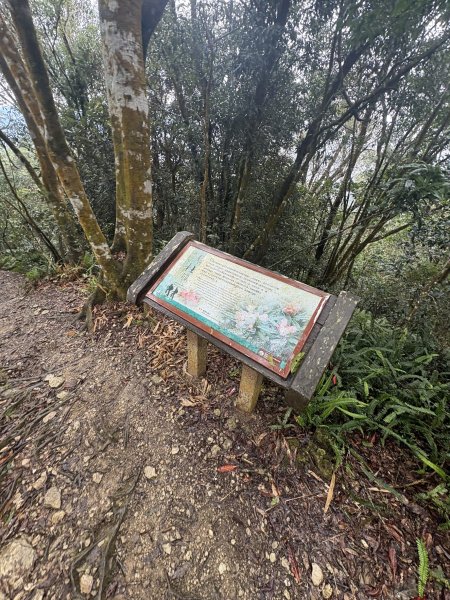 20251227尾寮山登山步道2970542