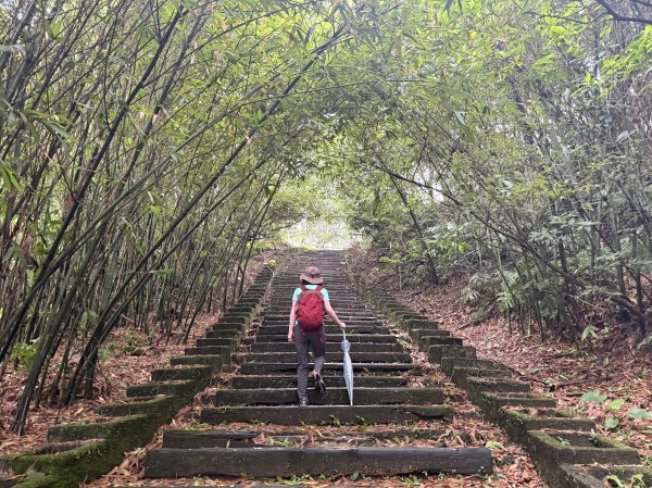 二格山 2025.07.202864213