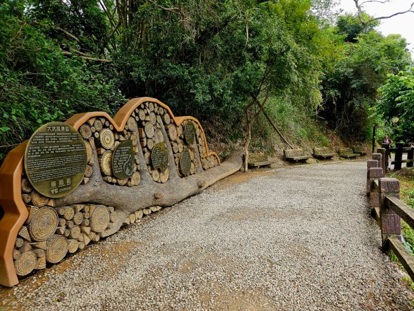 大坑9、10號步道-(台中)臺灣百大必訪步道2805952