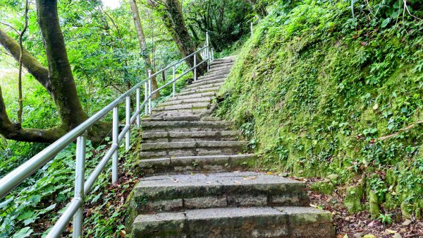 大尖山步道2833795