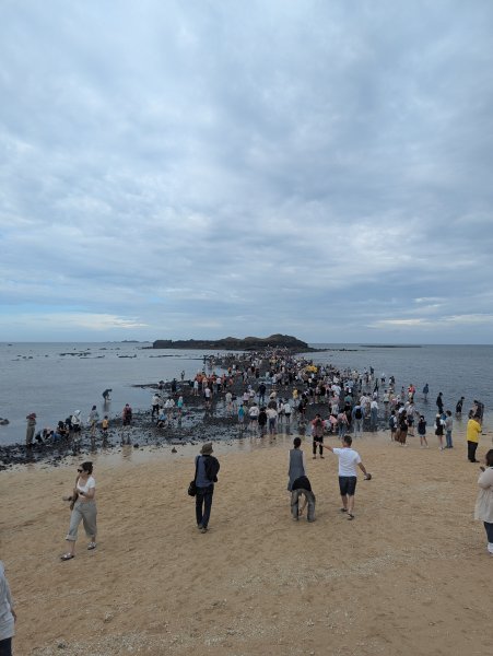 2026.08.15－奎壁山自然步道3110488