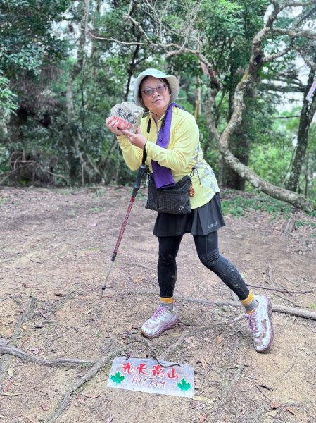 光天高山 - 向天湖山(小百岳32) 小O一圈2876728