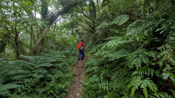 114.06.21大竹坑山-小粗坑山-石門山之旅2818859