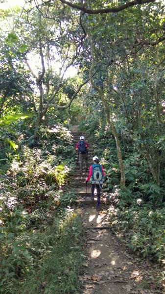 鳶山-鳶尾山O型縱走465362