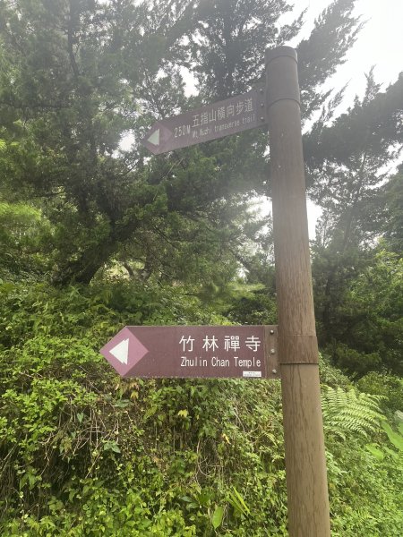 [皮皮獅Hike客任務-03/10] 2024_0720 五指山橫向登山步道2557155