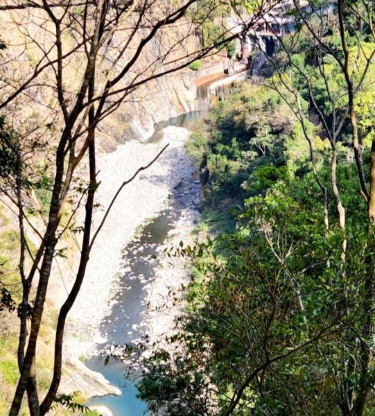 【中級山】谷關七雄波津加山2742311