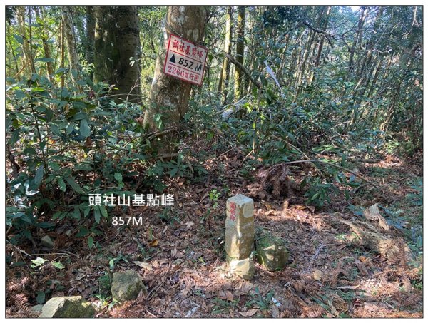 頭社山主峰及基點峰(社頭山)2681597