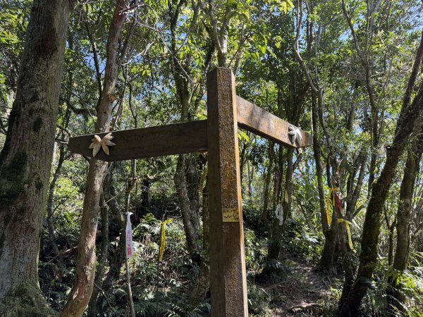 [淡蘭古道] 2026_0315 南路第三段_獵狸尖步道3017280