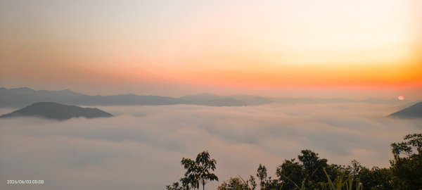 #坪林 #火燒雲 #日出 #雲海 #觀音圈 #金山 #花鳥蝶 6/3&4&163068885