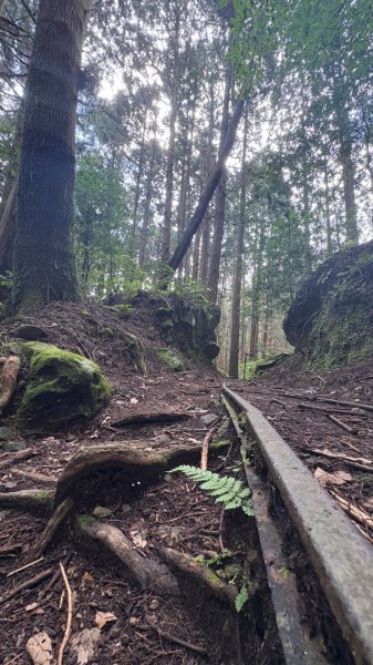 悠遊林鐵遺跡2878132