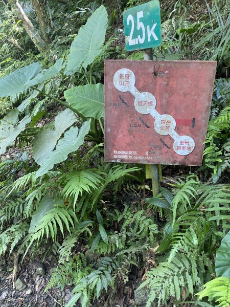 三角崙山及抹茶山3065471