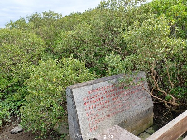 【新竹新豐】台灣唯一建有觀賞步道的生態保護區。 新豐紅樹林生態保護區2381819