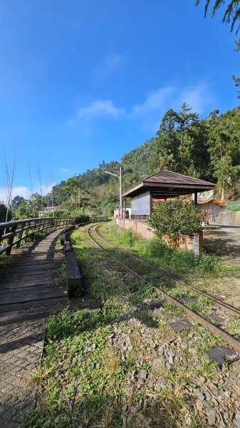【四大天王山O型縱走未竟之旅：封山中的靜謐與省思】解鎖嘉義竹崎四大天王山、知鳥山。2929885