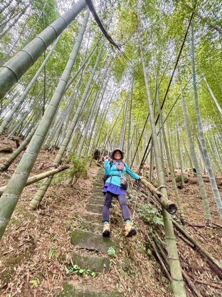 挑竹古道6號走小半天6連峰出孟宗竹林古戰場3108790