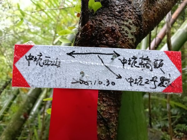 雙溪區中坑橋+中坑西山尾稜+中坑西山+內盤山坑古道+中坑橋O型2929518