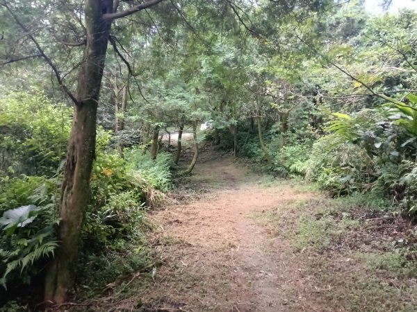 雙溪區豹子廚越嶺保甲路+北豹子廚山+中坑東山稜線O型2880076