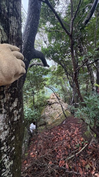 大雨後🙄2845398