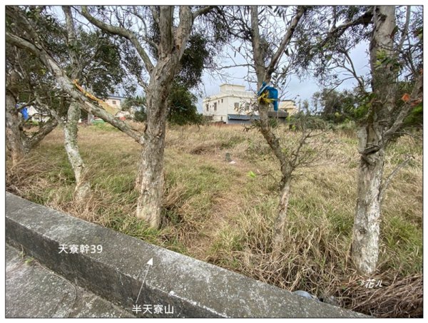 三媽縱走 ( 半天寮山、好望角、白沙屯山 連走 )2973226