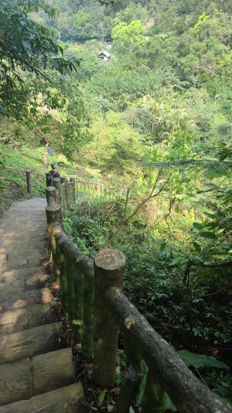 2025-0310臺北大縱走第七段2737280