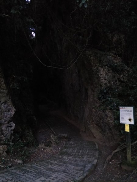 社頂生態保護區1343658