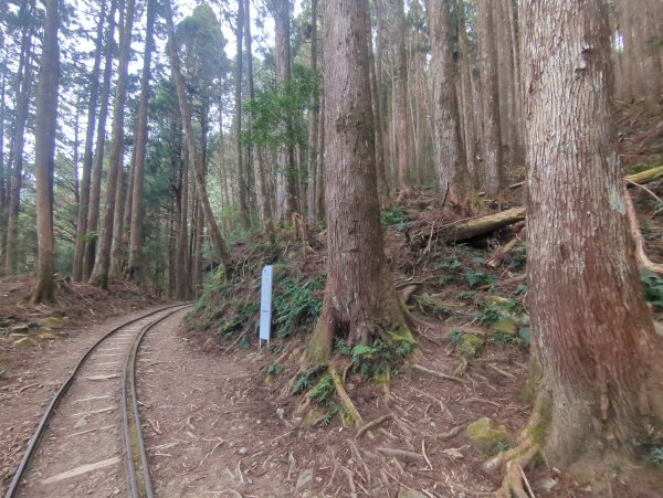 2026.02.14－特富野古道3013704