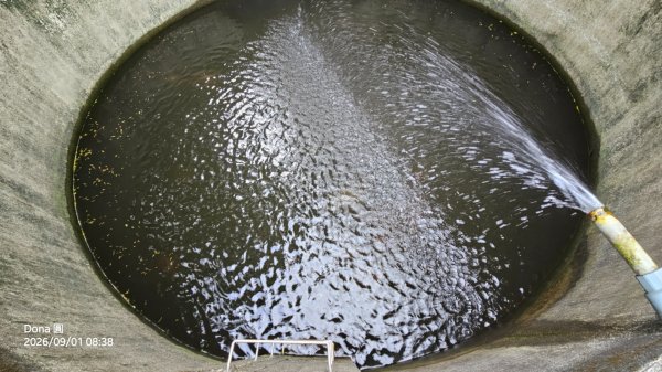 宜蘭燈篙林道.肖楠步道.雙月湖O走3114603