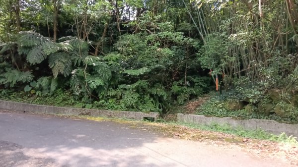 萬里區石門嶺古道(保甲路)-溪畔小徑-雙溪溝古道3087317