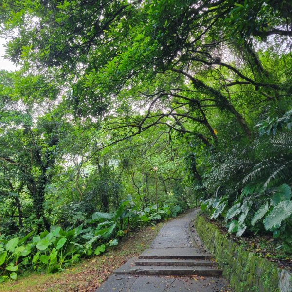 礁溪石磐步道2298532