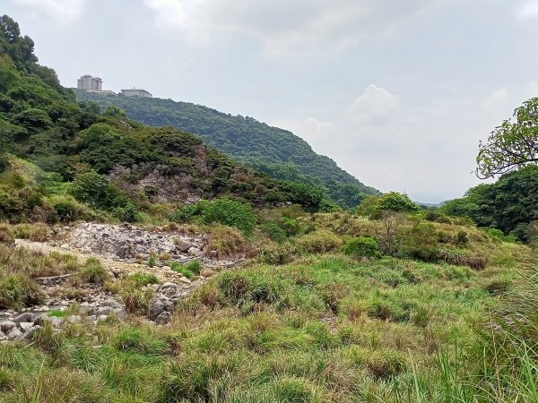 《龍飛鳳舞的龍鳳谷步道》1447229