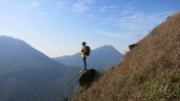 香港山系 － 大嶼山931057