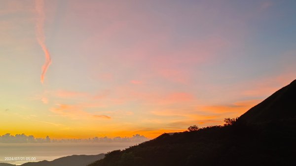 雲山水花鳥蝶 - 天龍國阿伯的日常7/18 & 21、22、292555557