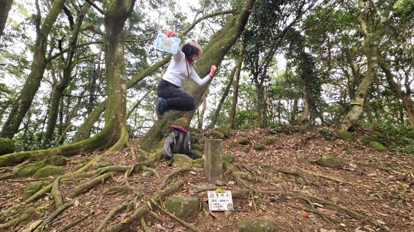 20251208雞寮坑山南稜線O走+鹿寮坑濕地賞景採果2969028