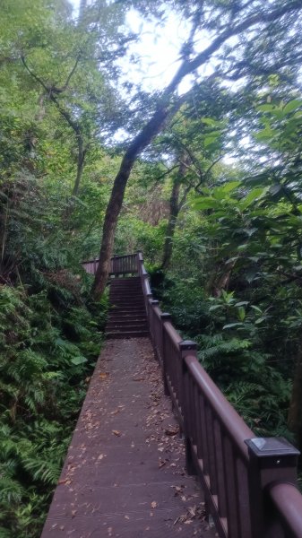 仁山植物園1747605