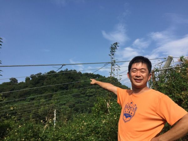 后里觀音山389247