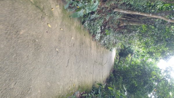 收集小百岳－台中太平三汀山1444033