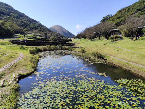 【臺北大縱走 2】【第二回合全程完成證書】鞍部→大屯山步道→大屯山主峰→大屯坪步道→二子坪步道2960416