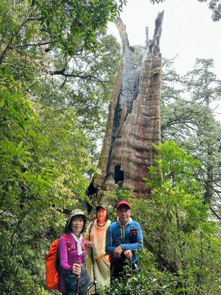 北得拉曼-20204062859890