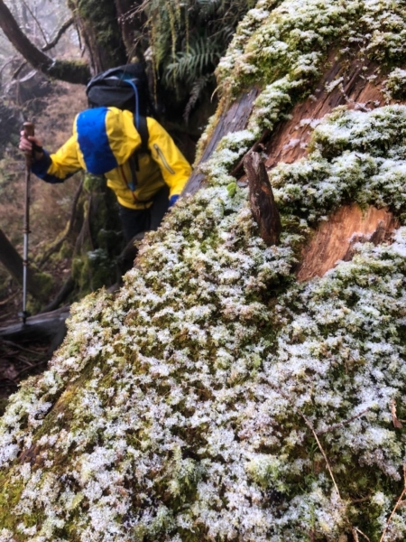 20180203冷氣團來襲登巴博庫魯山262459