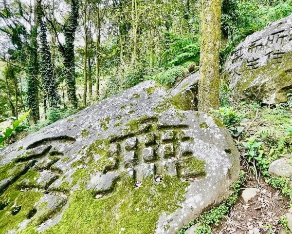 內寮古道石雕秘境寫真+陽明山16草原2499652