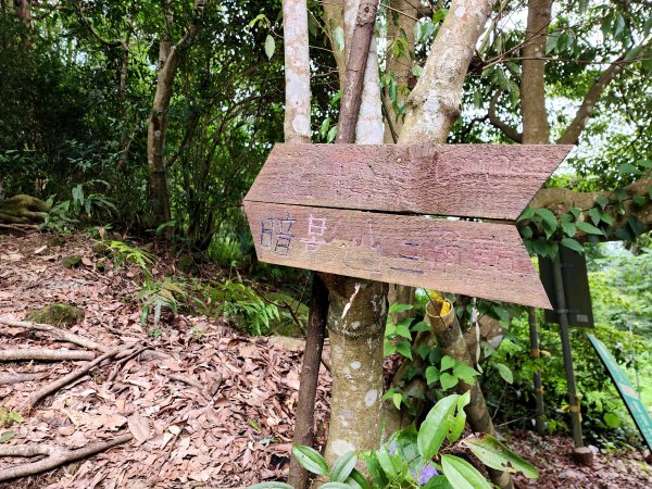 小百岳No.44⛰暗影山2405243