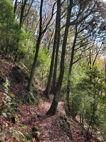 鳶嘴山-稍來山-稍來南峰下1088035