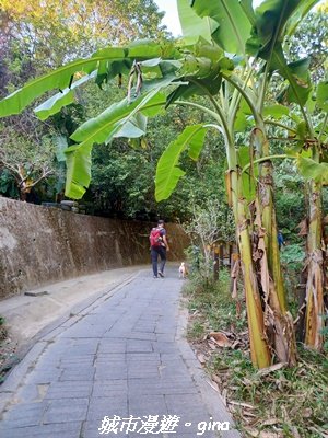 【台中北屯】大坑9-1x9號步道小O繞2945937