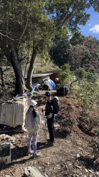 20260214 小百岳藤枝山3003006