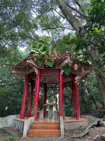 田中森林公園登山步道1889732