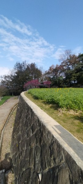 貓空樟樹步道2406653