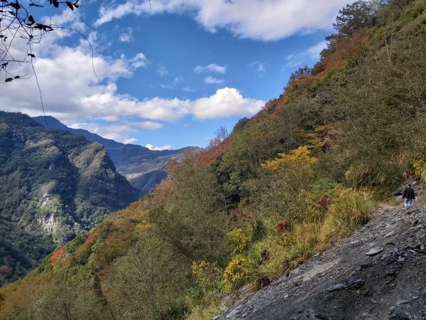 中級山-司馬庫斯2888975