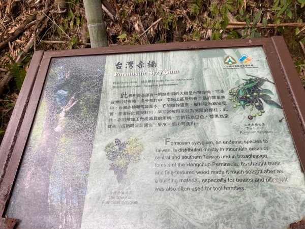 1120329奮瑞古道2643528