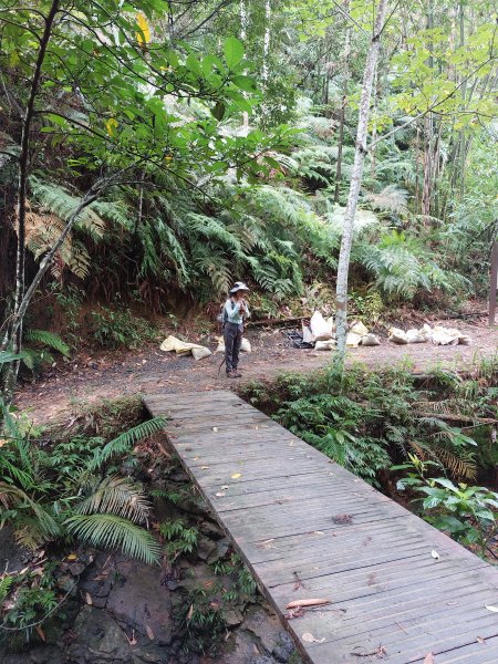 一日魚池三步道：澀水森林步道、魚池尖登山步道、金龍山步道202207021803884