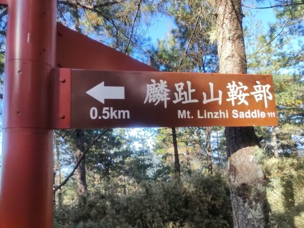 1141116麟趾山3098568