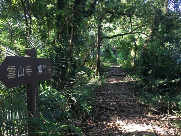 烏山縱走北段、風空子、烏山、孟璋山、刣牛湖山2307754